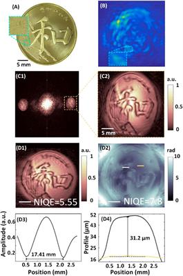 Lensless Fourier-Transform Terahertz Digital Holography for Full-Field Reflective Imaging